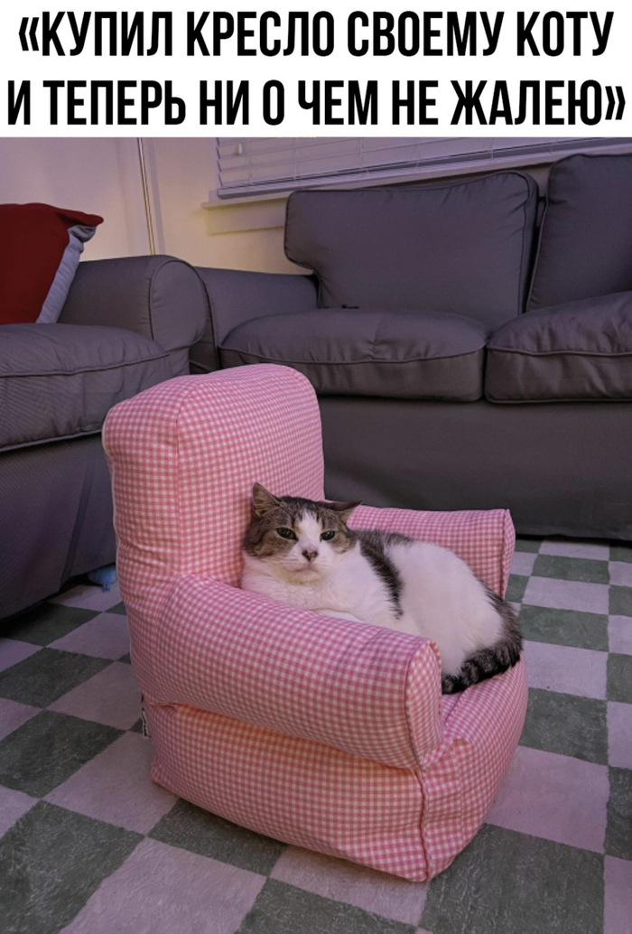  , ,  , , , , ,   