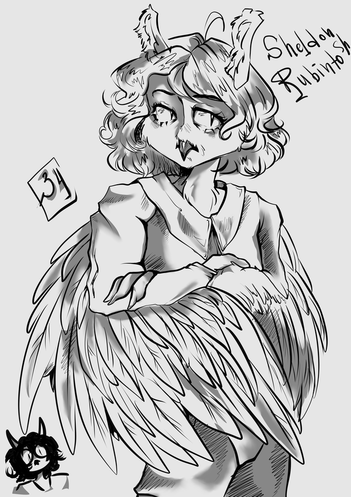  - 3 ,  , , , Furry Owl