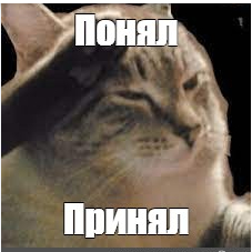 ��� ����))