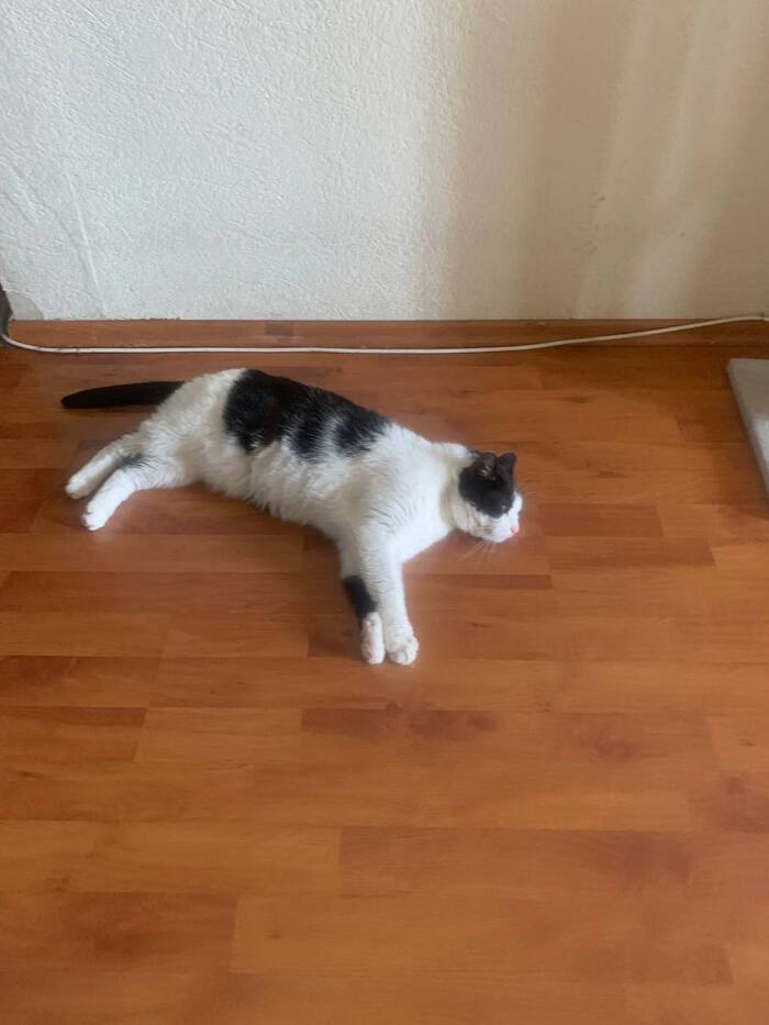 Федя радуется свободе от памперса и катетера