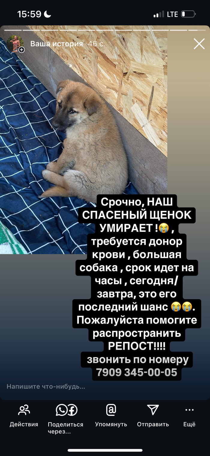 ��� ��� ������ ����� ��� �����