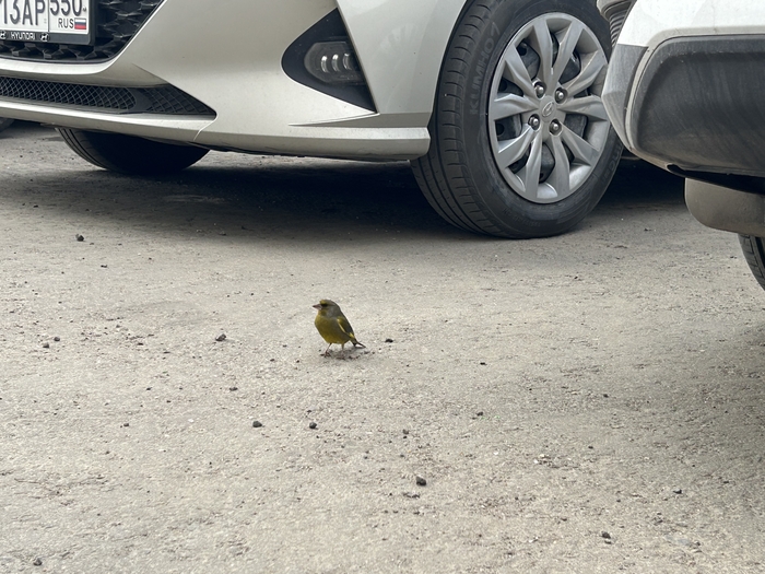 ��� ������ ���� � ����� �� � � �������