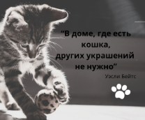 ���������� �������