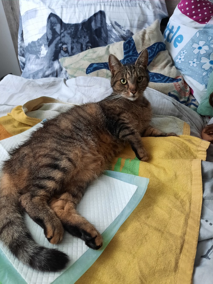 ������ ��� ����. ������ ��� ��� �� ��� ���������, ������ ����� ����