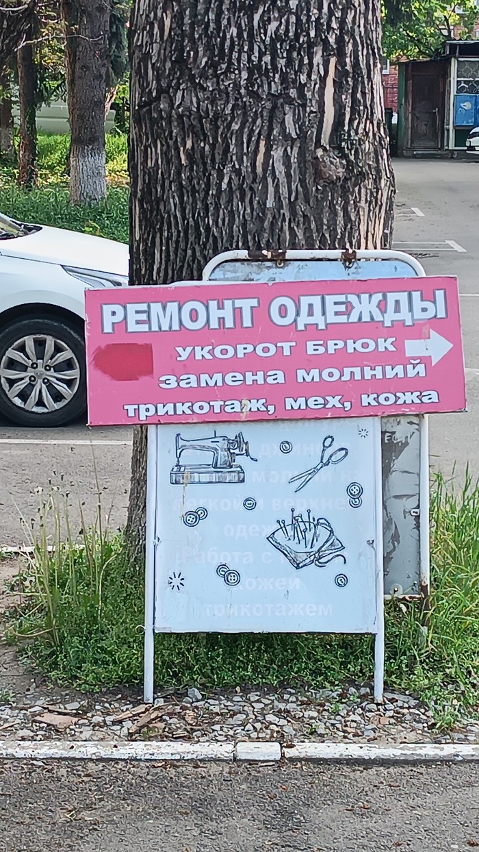     -     ,  , ,   
