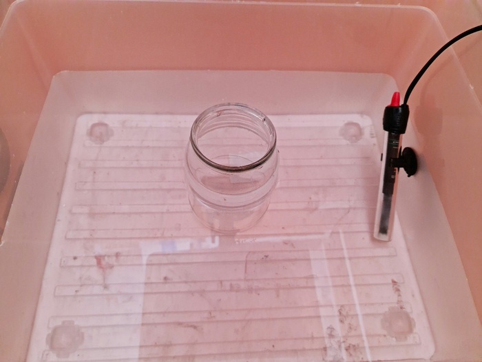 Добавляем аквариумный нагреватель.