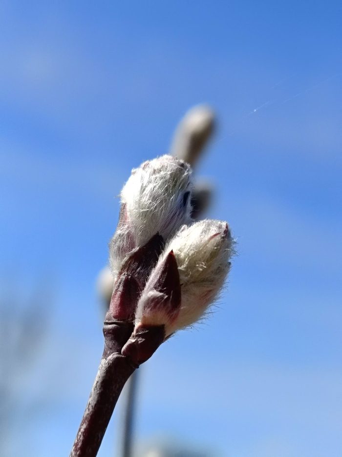 �� �����