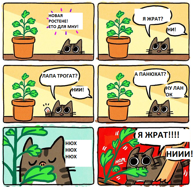  !