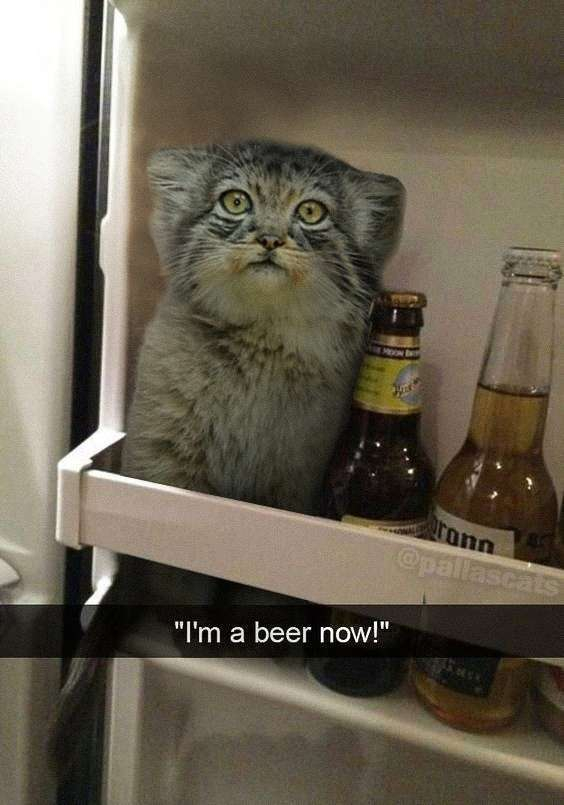 ���� �������!!!