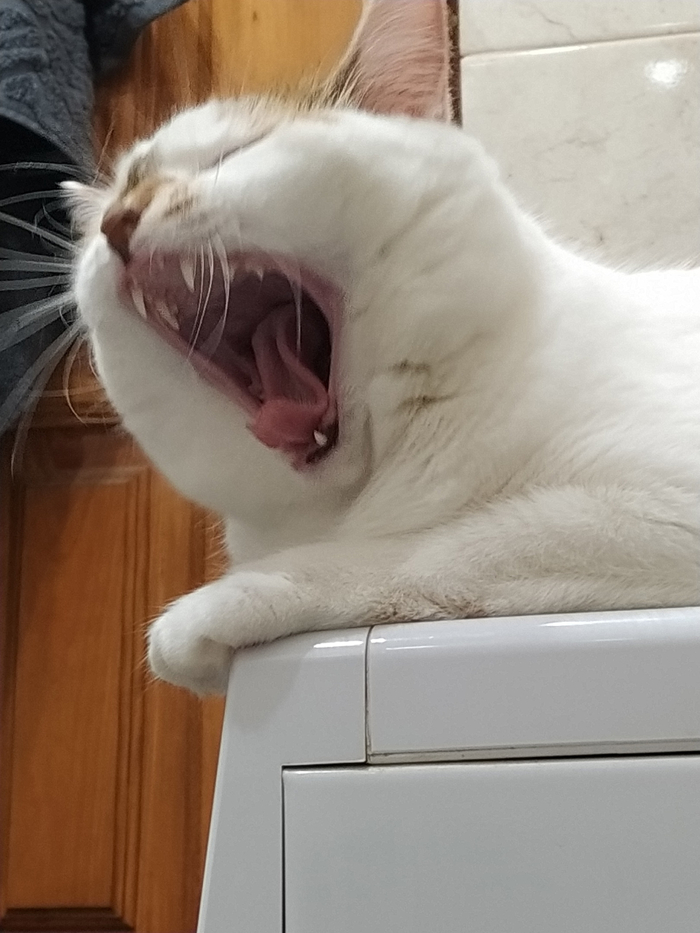     ,  ,   , , 