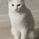 Аватар пользователя Dtshka