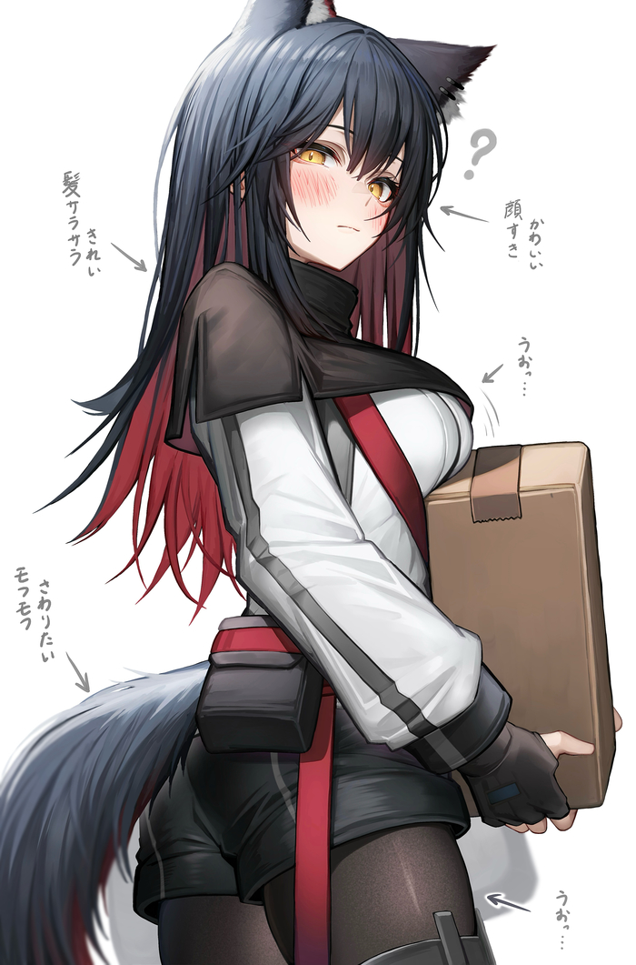 Texas Anime Art, , Arknights, Texas (Arknights), Animal Ears, , Tab head