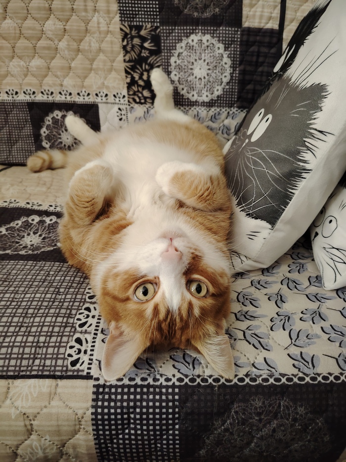   ,  ,  , -, 