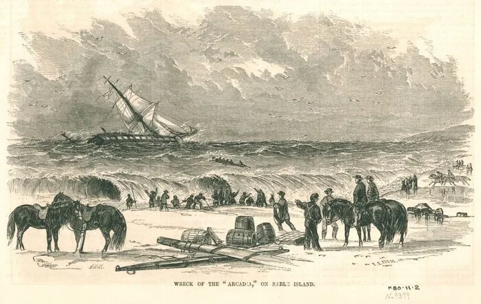 Почему моряки избегают этого места в океане вот уже 400 лет? Тайны острова Сейбл Планета Земля, Земля, Познавательно, Вокруг света, Планета, Факты, Научпоп, География, Удивительное, Биология, Длиннопост, Искусственный интеллект, Сгенерировано