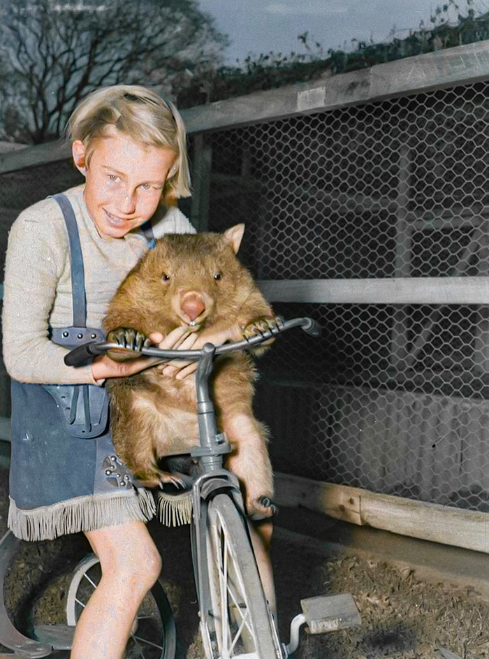 ��������: ��� ���