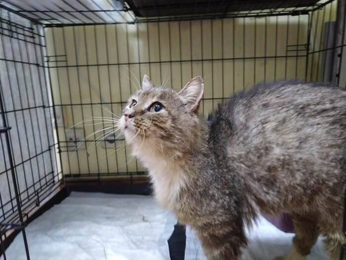 ��� ����� �������� ������ � ������ ��������-����������