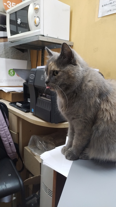 Иллюстрация к комментарию