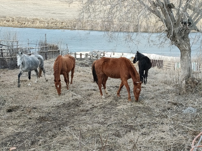 Прошлогодний весенний переезд за город