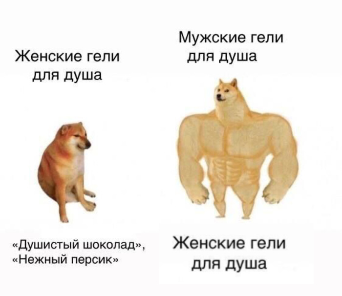      ,  ,   , Telegram (),   ,   