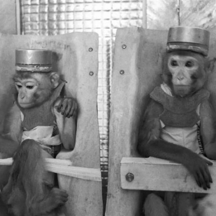 �� ������� ��� ����: ��� ��������� ������ ������ ������� ������ �������� � ��������