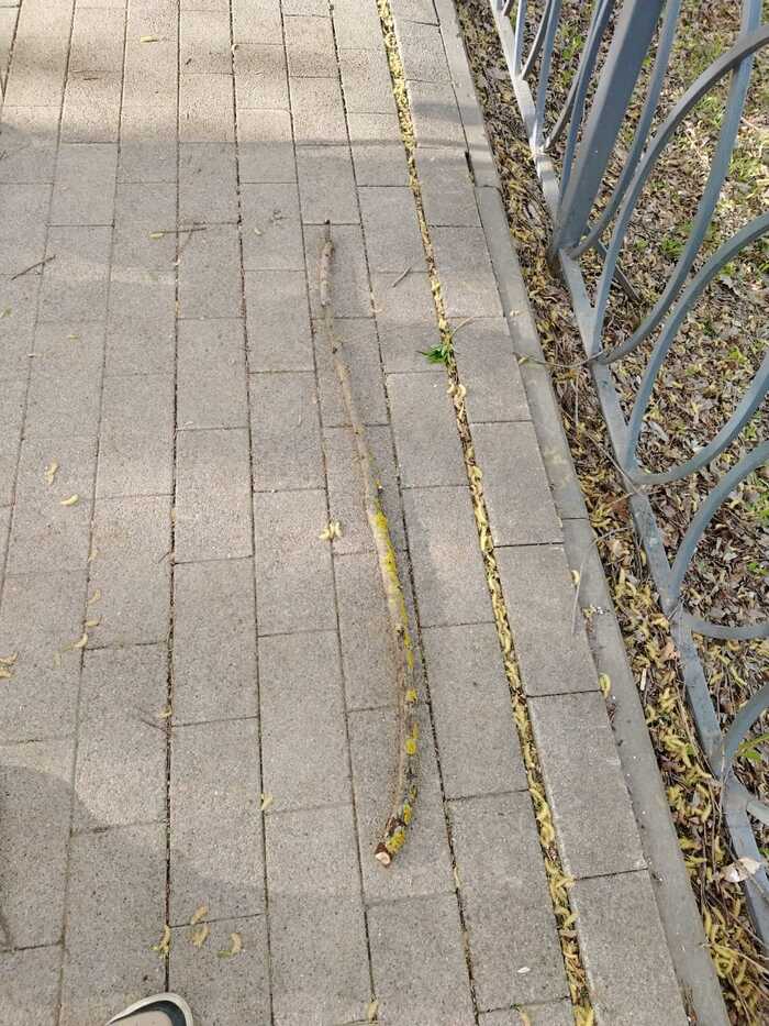  -  ... , ,  ,   , ,  ,  , 