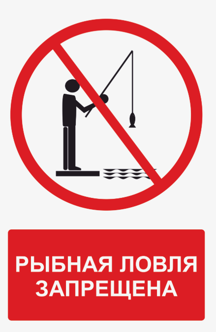   2025    , -, ,  ,  ,  ,  ,  ,  ,  ,  ,  ,  , Telegram ()