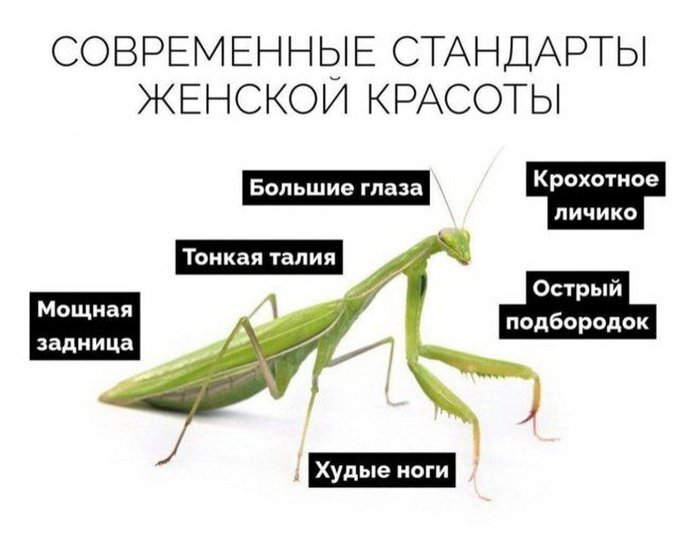 ,       ?
