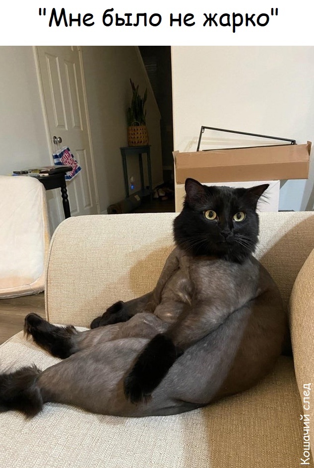,   ? ,  ,  (),   , 