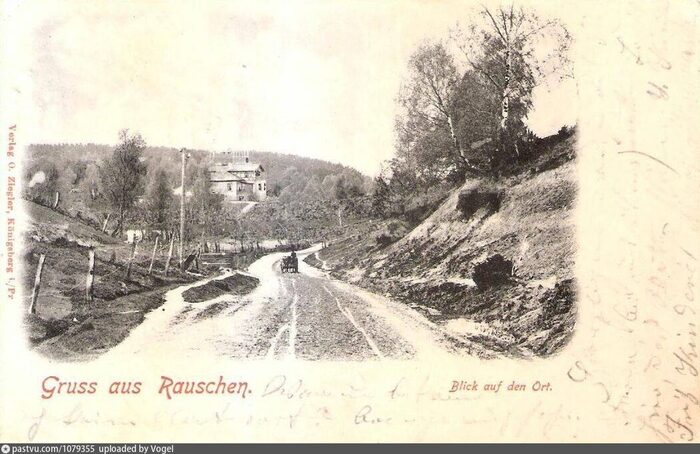 переулок Cobjeiter Weg, ныне улица Хуторская.