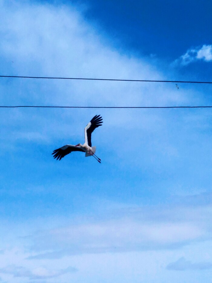 ��� ����!!!