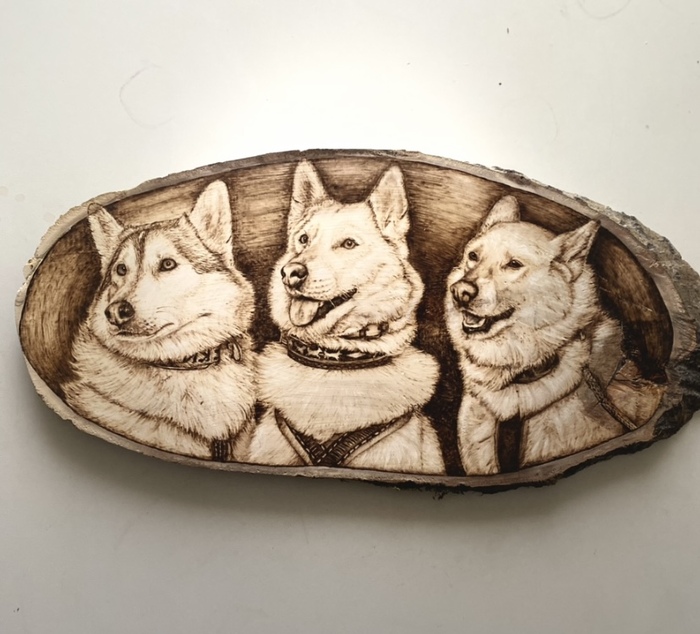 ���� ����� 53 ��