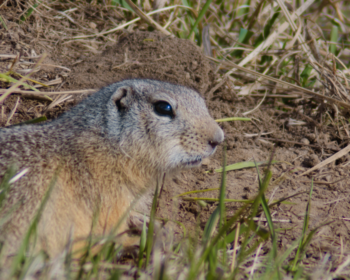  &#x263A;&#xFE0F;&#x1F4F8;