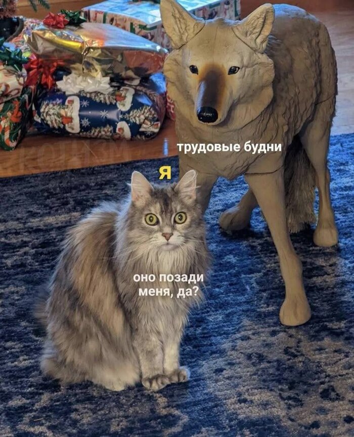         ,  , , , , , 