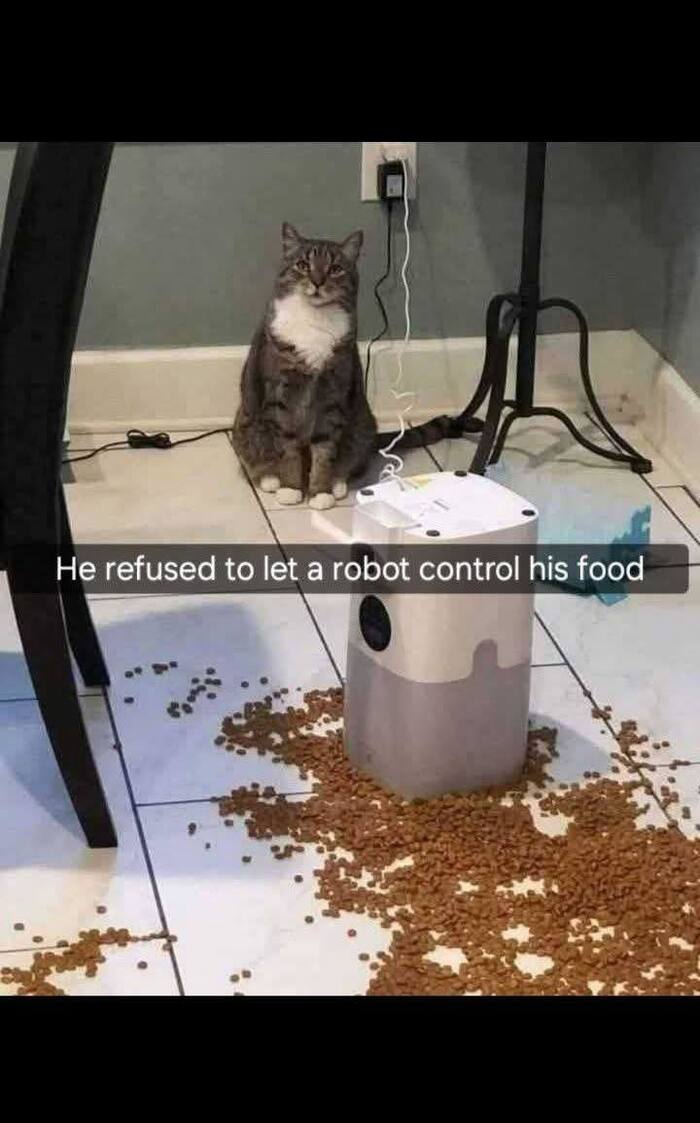   , 
