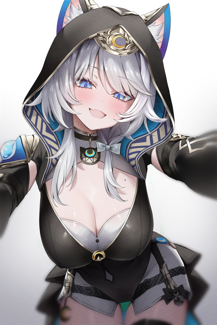  Anime Art, Honkai: Star Rail, Cipher (Honkai: Star Rail), Animal Ears, Vitaminechan