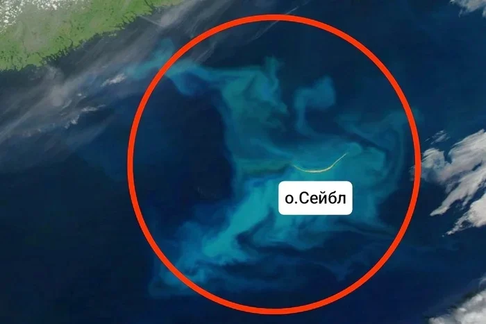 Почему моряки избегают этого места в океане вот уже 400 лет? Тайны острова Сейбл Планета Земля, Земля, Познавательно, Вокруг света, Планета, Факты, Научпоп, География, Удивительное, Биология, Длиннопост, Искусственный интеллект, Сгенерировано