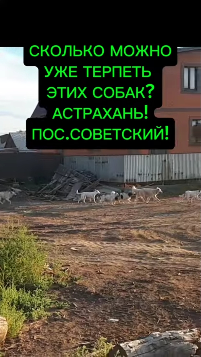 Фото из личного архива