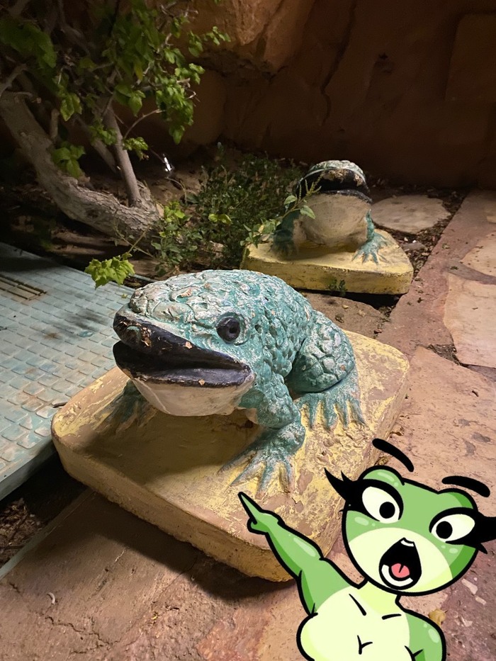     -  ,   , , , , , , It Is Wednesday My Dudes
