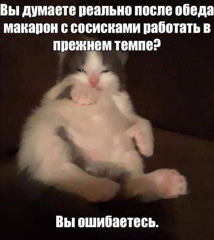 Так ощущается работа перед праздниками\отпуском