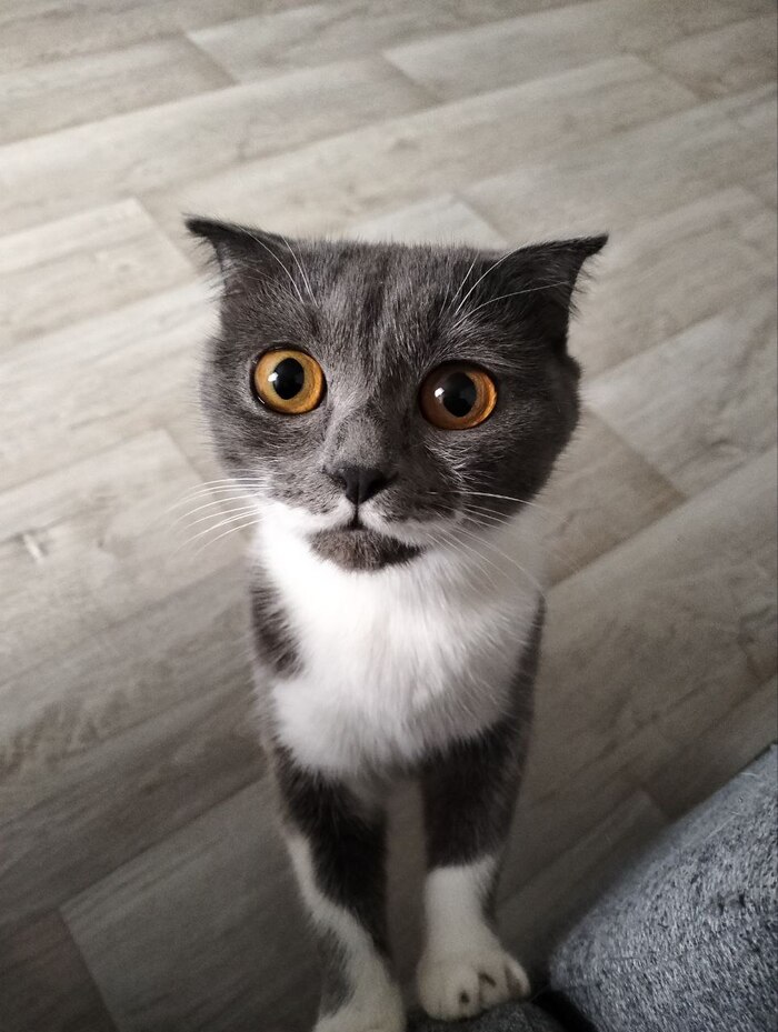     , , ,  