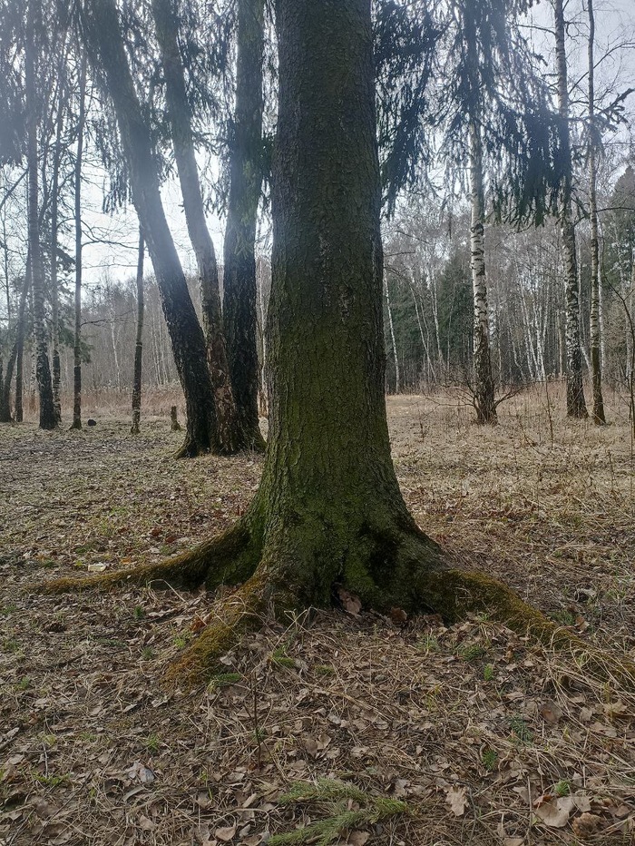 Подлипки. Часть 2: кто жил в дачах до прихода завода