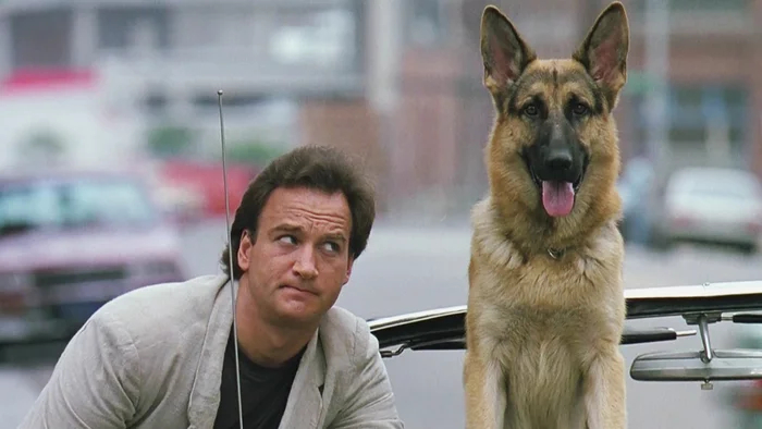 Кадр фильма "К-9: Собачья работа"