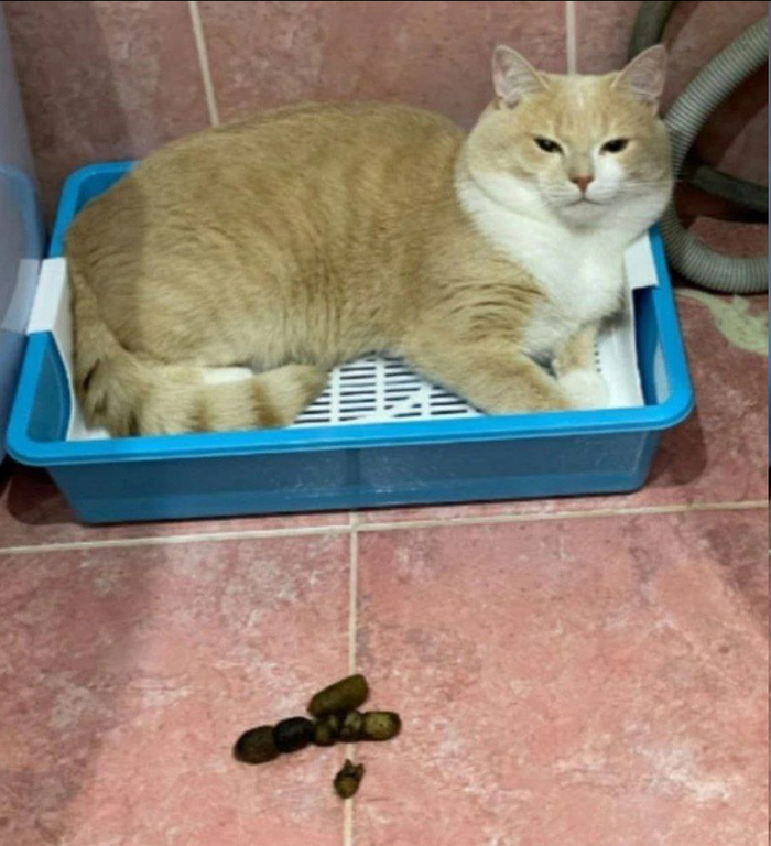    , 