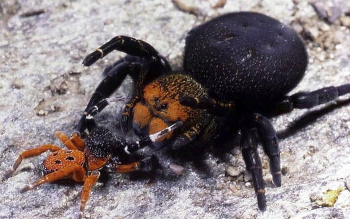  ,     ,   ?   ?!   ...