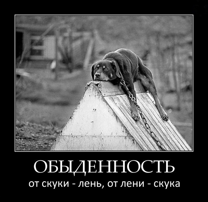 �����, ��� ��������� ���� �����������