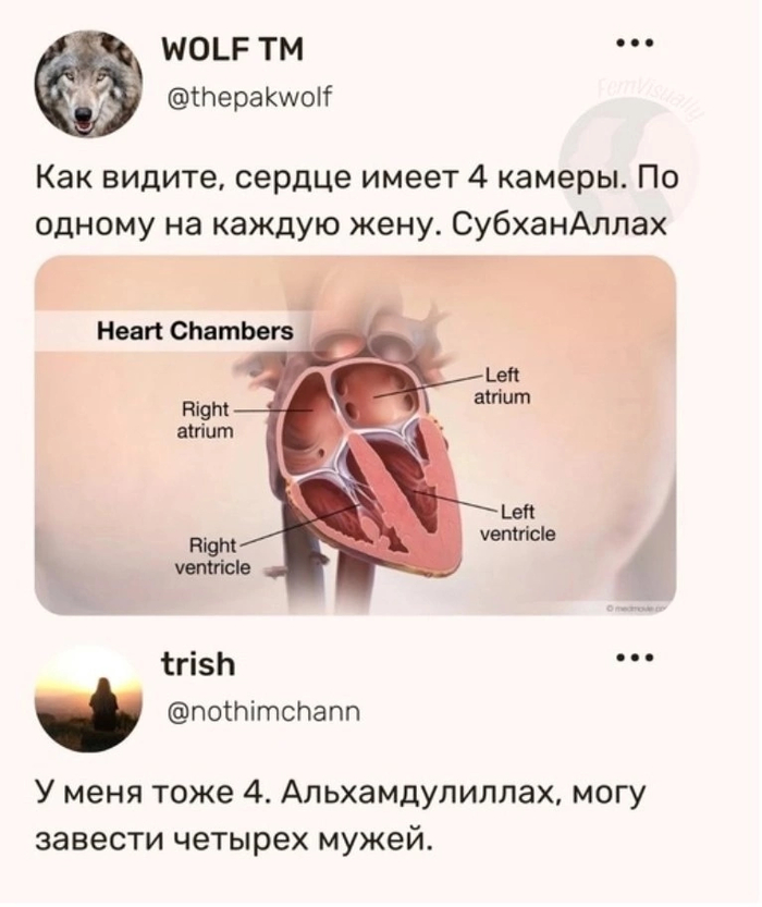       ,    ? , ,  , , X (Twitter), , 