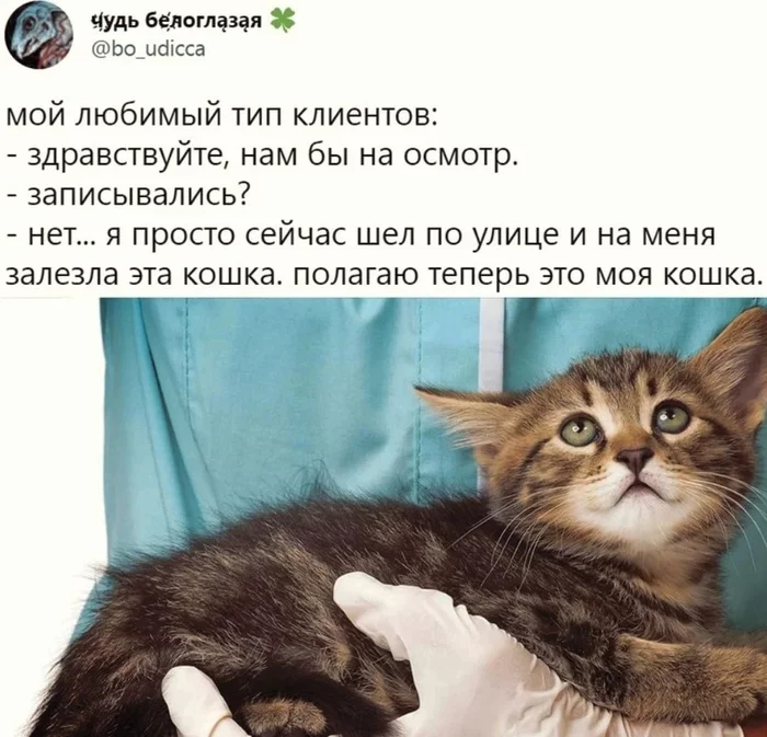   ,     ,   