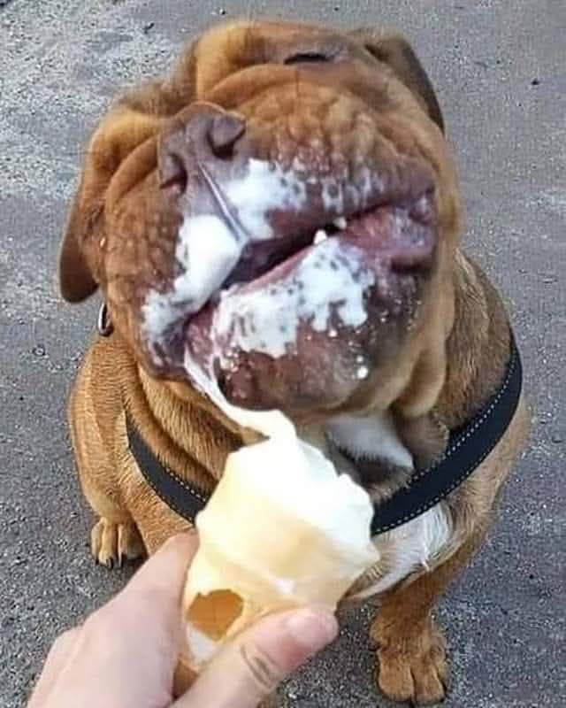 ��������!