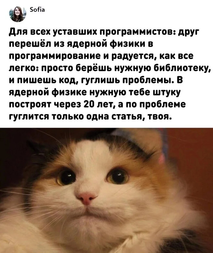   ,   , ! , , ,  ,   , , IT