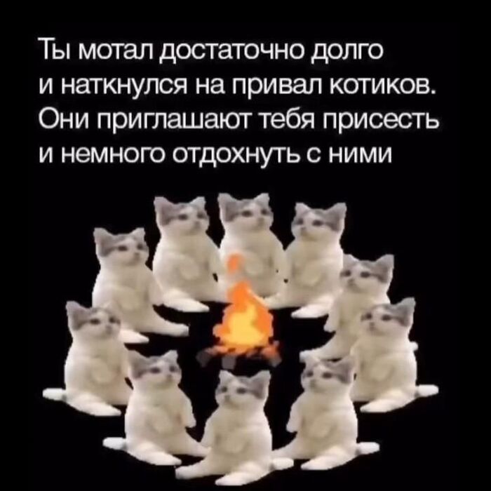    , ,   , 